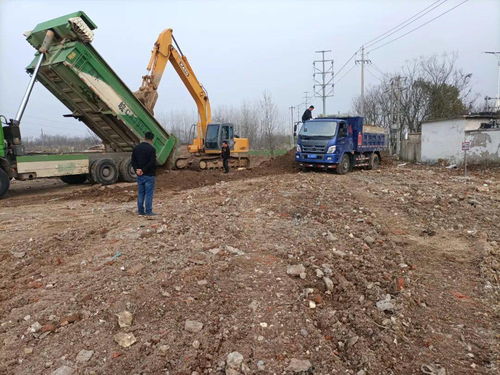 龍子湖住建局以創(chuàng)新模式開(kāi)啟東部門戶綠化建設(shè)工程