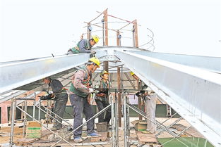 縣域經濟花競開